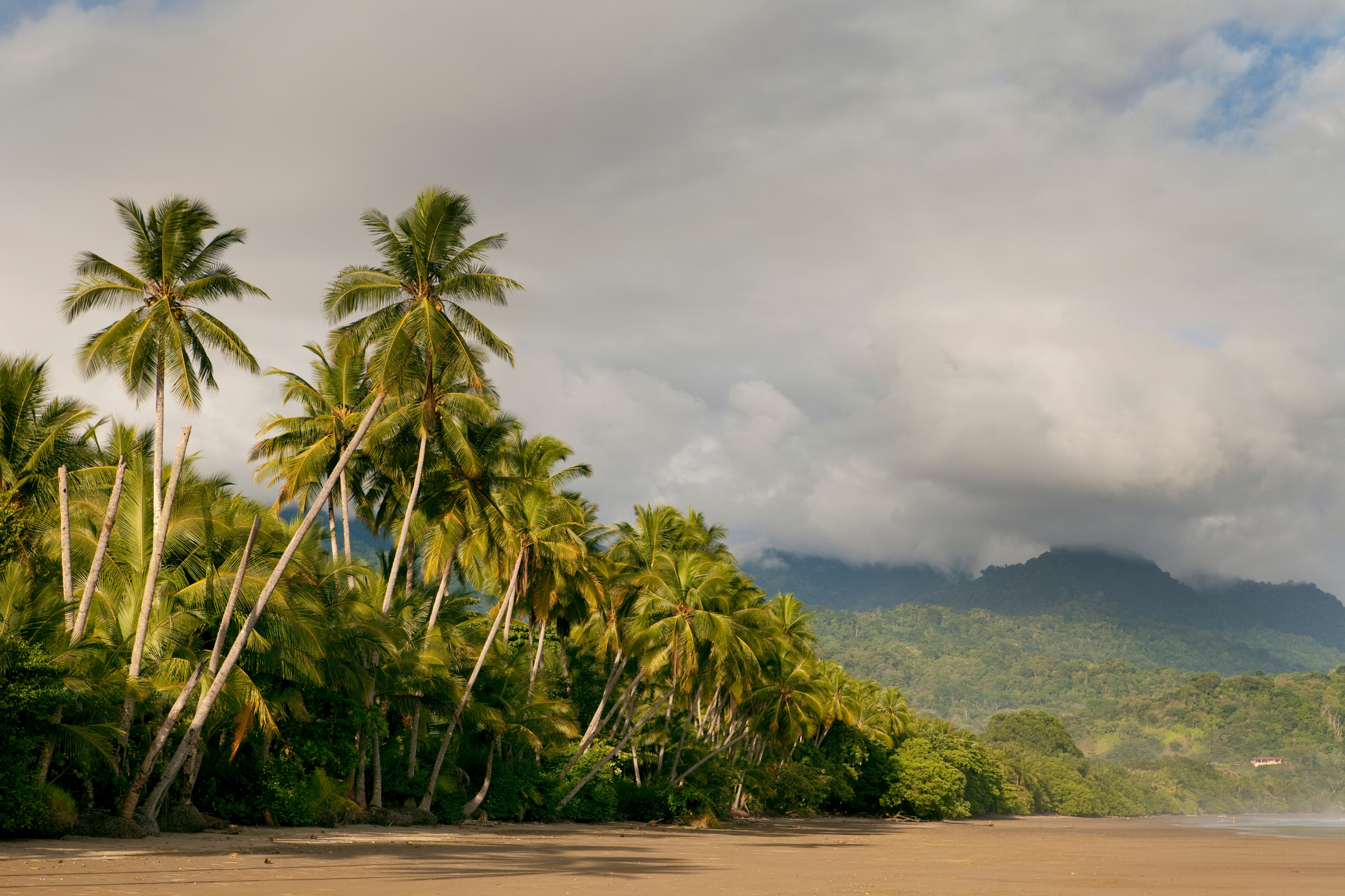 uvita 01.webp